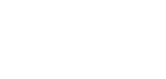 Logo Plan International