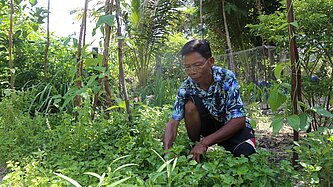 Vater im Gemüsegarten 
