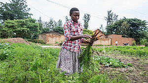 Junges Mädchen in Ruanda hält frisch geerntete Karotten im Rahmen des Plan-Landwirtschaftsprojekts.