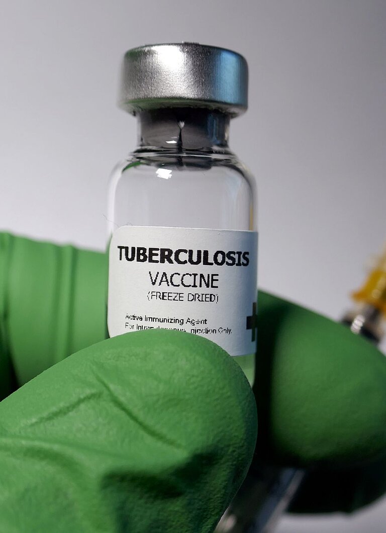 Eine Hand mit Einmalhandschuh hält eine Ampulle mit Impfstoff für Tuberkulose