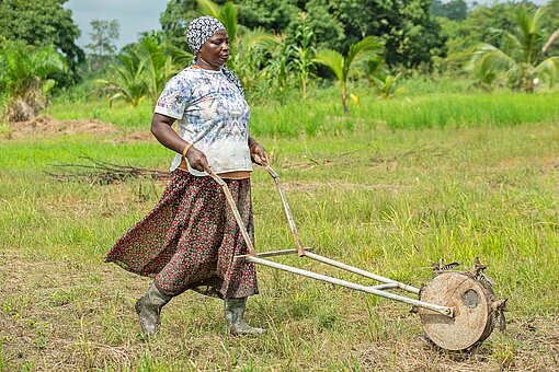 Landwirtschaftliche Maschinen aus heimischer Produktion erleichtern Reisbäuerin Paulina die Arbeit auf ihren Feldern Eine Frau schiebt eine Saatgutmaschine über ein Feld