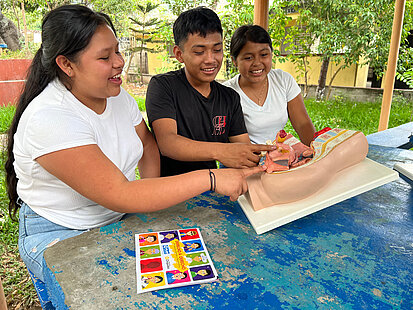 Heranwachsende untersuchen das Modell eines weiblichen Unterleibs