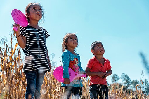 Drei Kinder stehen mit Spielsachen vor einem Maisfeld und schauen in die Höhe.
