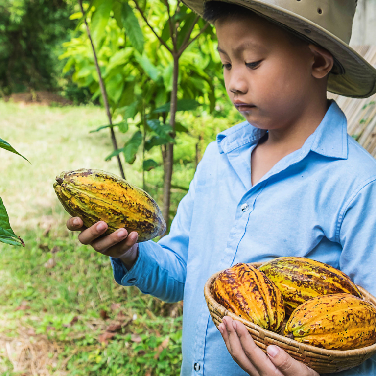 Ein Junge auf einer Kakao-Plantage