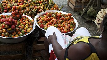 Viele Binnenflüchtlinge können sich eine ausgewogene Ernährung nicht leisten.