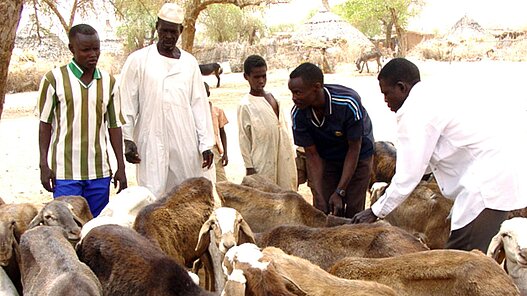 Das Bild stammt aus einem ähnlichen Plan Projekt im Sudan.