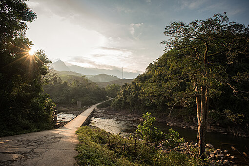 Eine schmale Brücke verläuft durch ein paradiesisches Waldgebiet in Vietnam