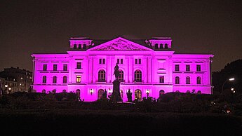 Auch das Rathaus in Altona wird zum Welt-Mädchentag 2018 wieder Pink leuchten. © Plan International / Marc Tornow
