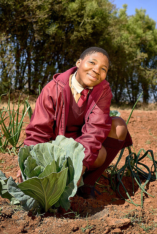 Mädchen sitzt vor einem Kohl auf einem Feld