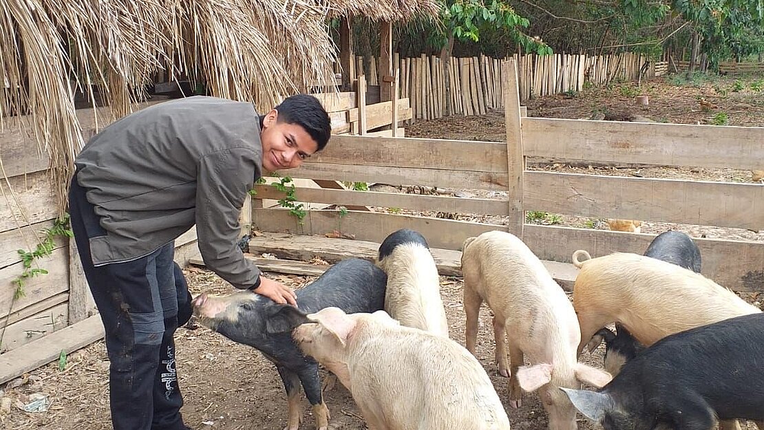Ein Teenager streichelt eines seiner Schweine