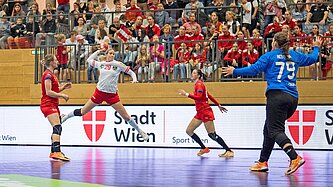 Handball-Profis beim Sport in Wien
