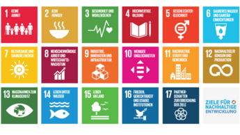 Die 17 SDGs im Überblick