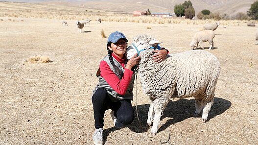 Schafe für Jugendliche in Bolivien