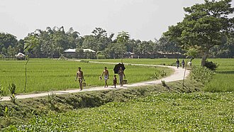 Eine Dorflandschaft mit grünen Reisfeldern