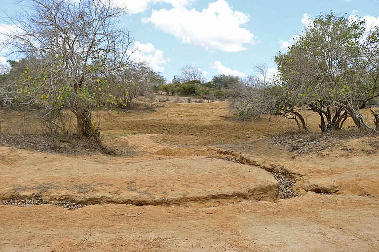 Wasserstellen und Bäche sind ausgetrocknet, viele Regionen in Kenia verdorrt