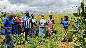 Gruppe von Frauen und Männern bei einer Lerneinheit auf einem Feld in Sambia.
