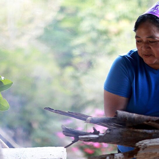 Bäckerin in Honduras legt Feuerholz für Lehmofen nach