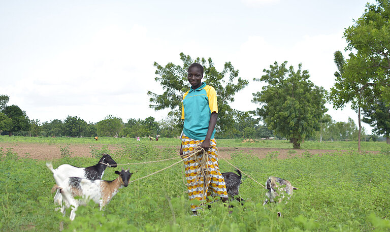 Ein Mädchen steht in einem Feld. Sie hat vier Ziegen an der Leine.