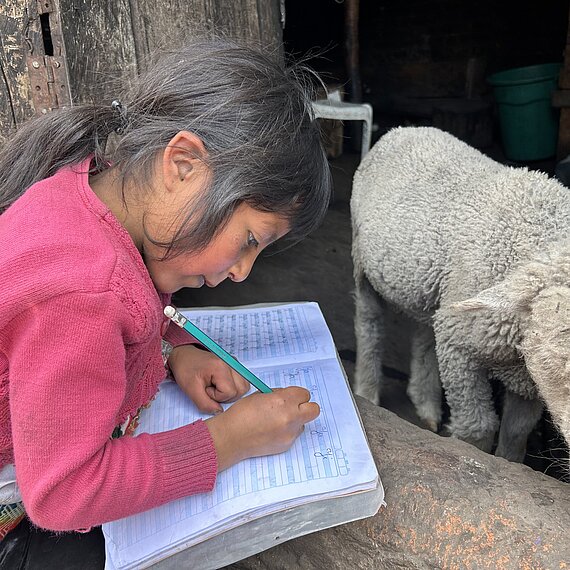 Ein Mädchen macht ihre Hausaufgaben am Schafstall