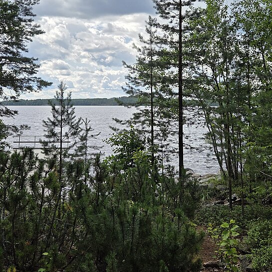 Blick aus dem Ferienhaus des Spenders