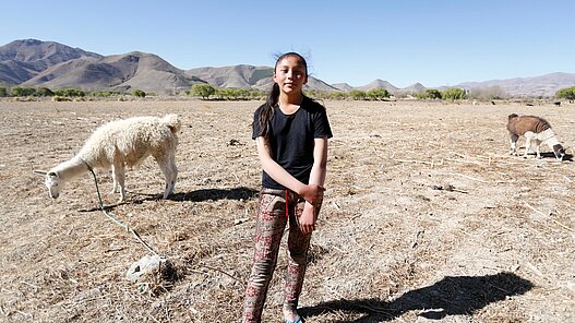 Lamas für Jugendliche in Bolivien