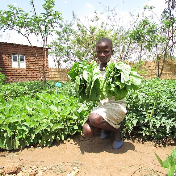 Ein Mädchen trägt frische Gemüsepflanzen im Garten in Malawi, um die Ernährungssicherheit zu verbessern