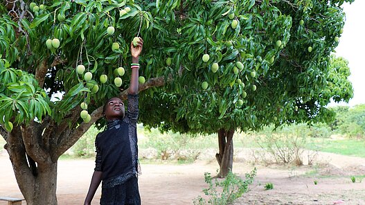Ausbildung in nachhaltiger Landwirtschaft in Sambia