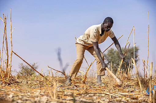 Feldarbeit beinhaltet im Westen Afrikas – wie hier in Niger – oftmals Handarbeit Ein Mann mit einer Hacke auf einem Feld