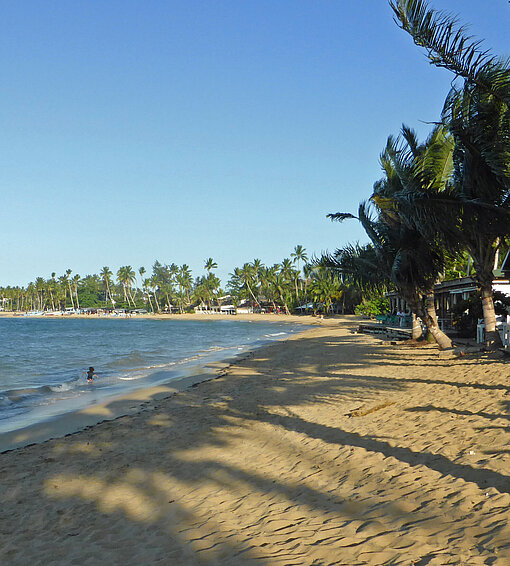 Strand und Palmen im Sonnenschein unter blauem Himmel