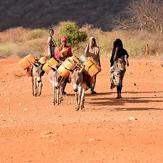 Mehrere Frauen führen Esel, die mit Wasserkanistern beladen sind, auf einem trockenen Weg durch die Landschaft.
