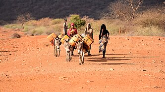 Mehrere Frauen führen Esel, die mit Wasserkanistern beladen sind, auf einem trockenen Weg durch die Landschaft.