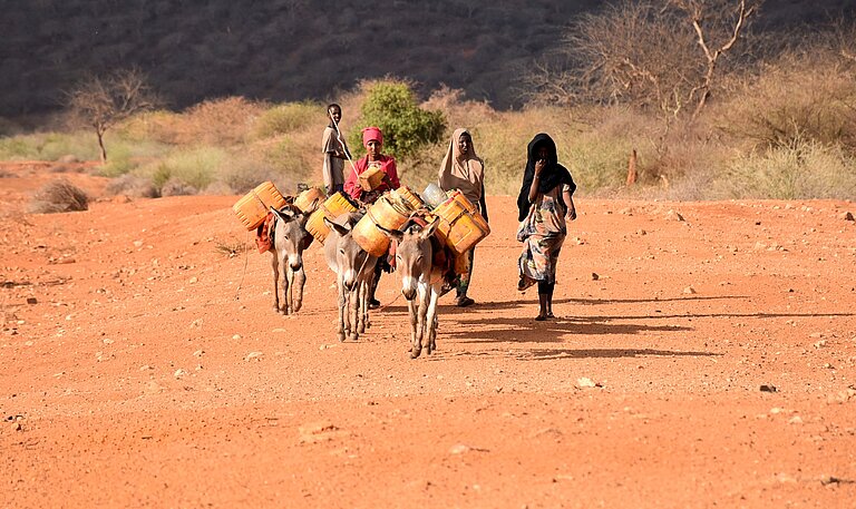 Mehrere Frauen führen Esel, die mit Wasserkanistern beladen sind, auf einem trockenen Weg durch die Landschaft.