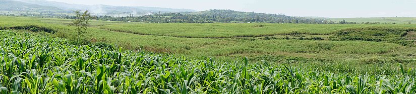 Kenya-2016-LMD-1468-2 Kenya-2016-LMD-1468-2
