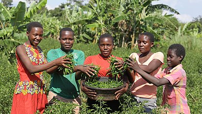 In Ruanda unterstützen wir gezielt junge Frauen und ihre Integration in den Arbeitsmarkt. 900 junge Frauen und Männer bilden wir in klimaangepasster Landwirtschaft und Unternehmensgründung aus.