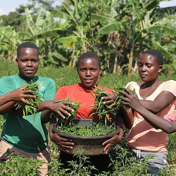 Wir stärken Frauen durch nachhaltige Landwirtschaft. © Walipa Pictures / Bild stammt aus einem ähnlichen Plan-Projekt in Uganda.