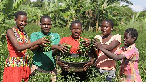Wir stärken Frauen durch nachhaltige Landwirtschaft. © Walipa Pictures / Bild stammt aus einem ähnlichen Plan-Projekt in Uganda. Wir stärken Frauen durch nachhaltige Landwirtschaft. © Walipa Pictures / Bild stammt aus einem ähnlichen Plan-Projekt in Uganda.