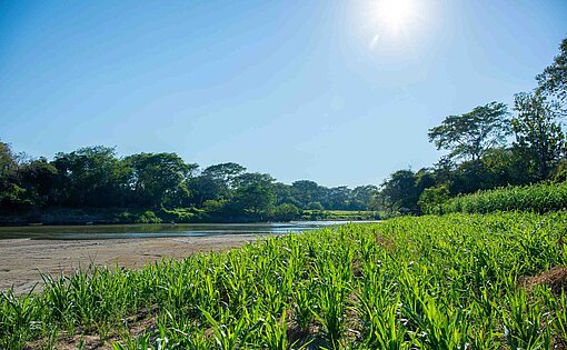 Der Fluss Lempa in der Region Chalatenango, die in der lokalen Sprache so viel heißt wie „Tal des sandigen Wassers“ Die Sonne scheint vom blauen Himmel auf das grün bewachsene Ufer eines Flusses