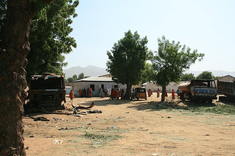 Stadt Gwoza Baeume