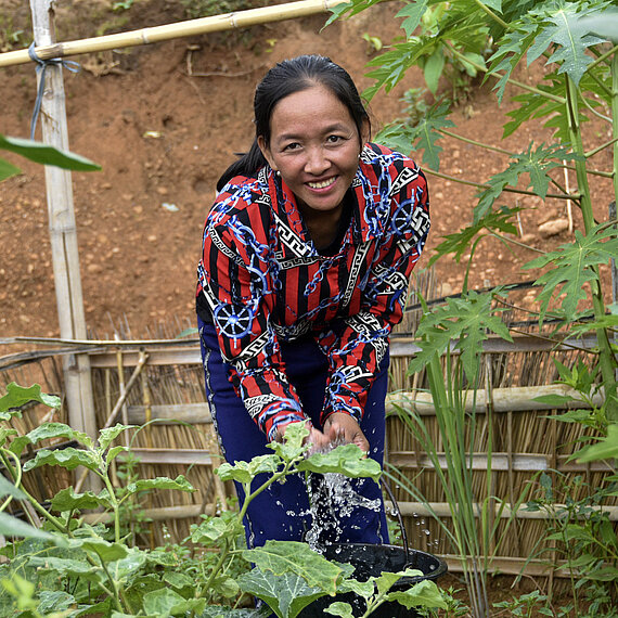 Nachhaltige Landwirtschaft: Frau pflegt ihren Gemüsegarten in Laos Frau gießt Gemüsepflanzen in einem nachhaltigen Gartenprojekt in Laos
