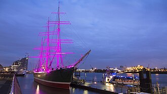 Auch 2014 erstrahlte die Rickmer Rickmers in Hamburg in einem kräftigen Pink. © Plan / Dirk Eisermann