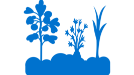 Icon eines Gemüsebeets.