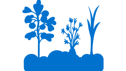 Icon eines Gemüsebeets.