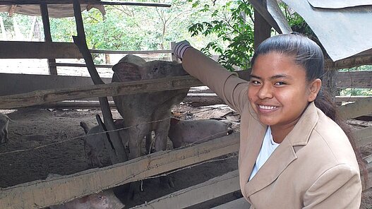 Schweine für eine Schweinezucht in Bolivien