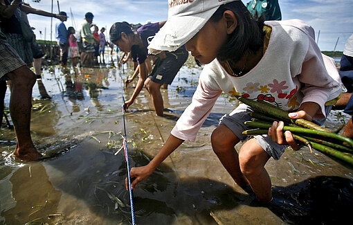 Schon 2008 hat Plan International Jugendgruppen auf den Philippinen beim Küsten- und Klimaschutz unterstützt, wie hier beim Aufforsten von Mangroven Eine Gruppe Kinder steht knöcheltief im Wasser und setzt Pflanzen in den Boden