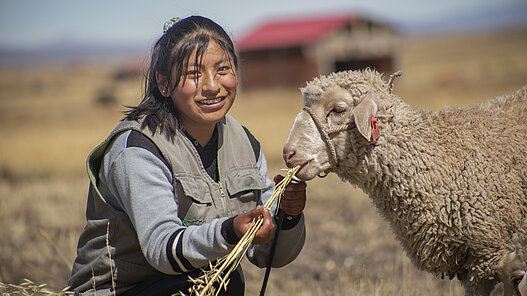 Mädchen füttert Schaf