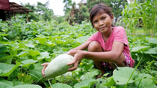 Gemüsegärten für gesunde Ernährung in Kambodscha