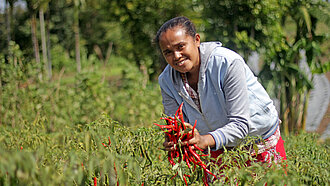 Durch den Anbau und Verkauf von Chilis und anderem Gemüse haben Frauen wie Damaris ihr eigenes Einkommen. © Agus Haru / Plan International