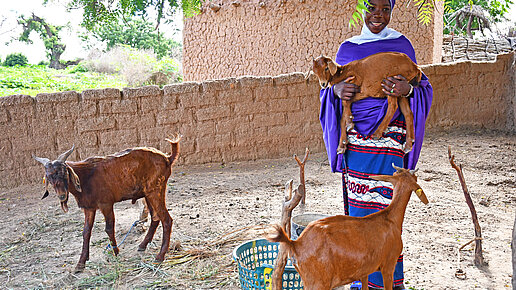 Ziegen für eine Ziegenzucht in Malawi