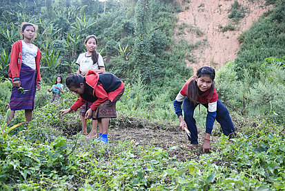 Das Projekt "Zukunftschancen durch Nachhaltige Landwirtschaft und Klimaschutz" in Laos