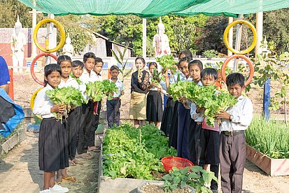 Schulkinder stehen an einem Gemüsebeet und halten Salat in den Händen